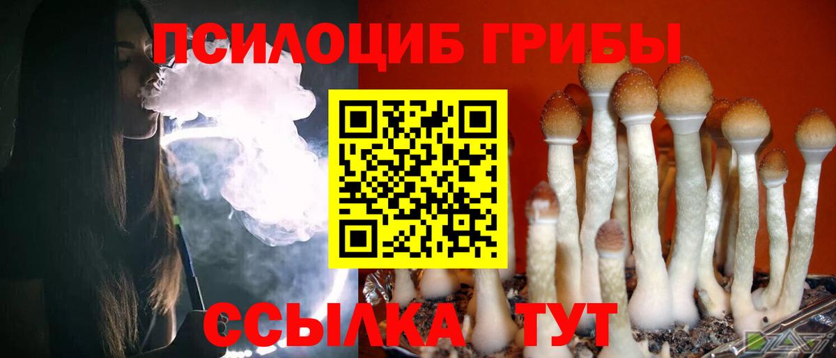Псилоцибиновые грибы Psilocybine cubensis  где можно купить   Первоуральск  Вход с VPN 