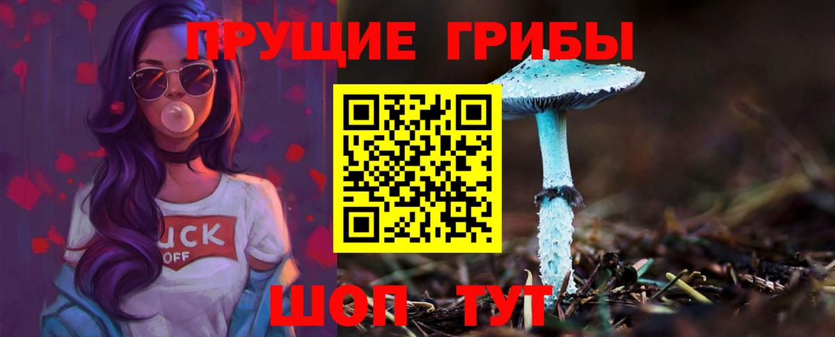 Галлюциногенные грибы GOLDEN TEACHER Первоуральск